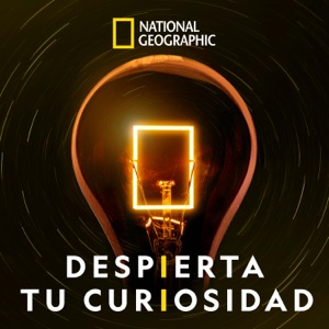 Portada de Despierta tu curiosidad